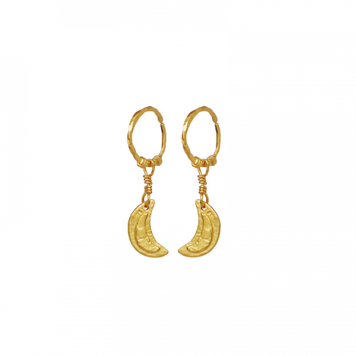 Odessa Ørering Guld i gruppen Øreringe / Guldøreringe hos SCANDINAVIAN JEWELRY DESIGN (9841A)