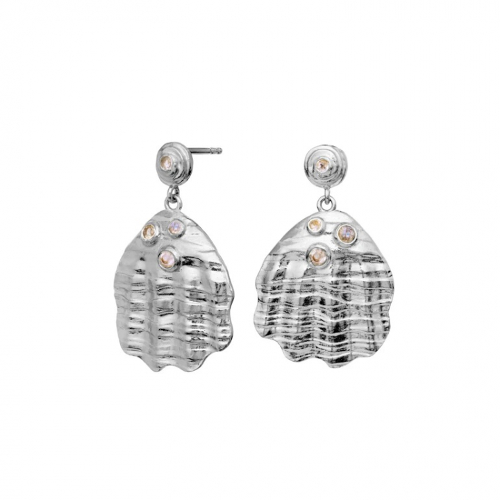 PALMA Earrings Silver i gruppen Øreringe / Sølvøreringe hos SCANDINAVIAN JEWELRY DESIGN (9879C)