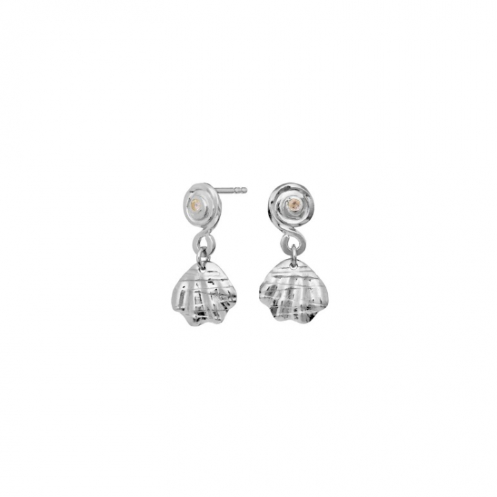CONCA Earrings Silver i gruppen Øreringe hos SCANDINAVIAN JEWELRY DESIGN (9881C)