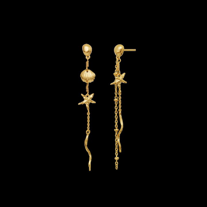ARUBA Earrings Gold i gruppen Øreringe / Guldøreringe hos SCANDINAVIAN JEWELRY DESIGN (9883A)