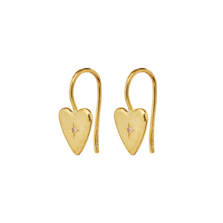 Chandra Earrings Gold i gruppen Øreringe / Guldøreringe hos SCANDINAVIAN JEWELRY DESIGN (9933A)