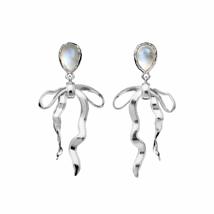 Tiana Earrings silver i gruppen Øreringe / Sølvøreringe hos SCANDINAVIAN JEWELRY DESIGN (9940C)
