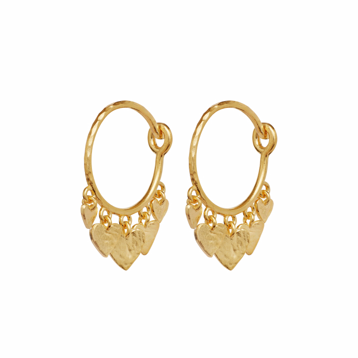 Zusa Earrings Gold i gruppen Øreringe / Guldøreringe hos SCANDINAVIAN JEWELRY DESIGN (9965A)