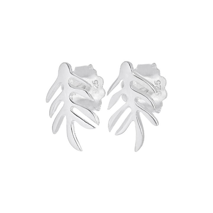 Autumn Leaf drop studs i gruppen Øreringe / Sølvøreringe hos SCANDINAVIAN JEWELRY DESIGN (ALF-E1S000-S)