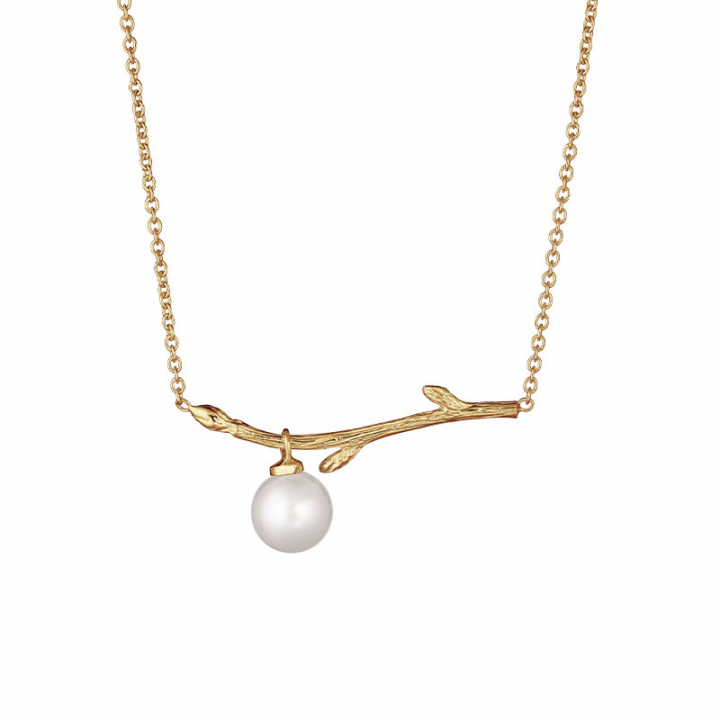 Branch pearl necklace gold i gruppen Øreringe / Guldøreringe hos SCANDINAVIAN JEWELRY DESIGN (BAH-N1M2501-G)