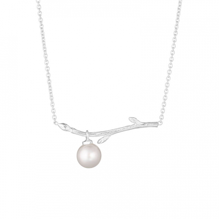 Branch pearl necklace i gruppen Halskæde / Sølvhalskæde hos SCANDINAVIAN JEWELRY DESIGN (BAH-N1M2501-S)