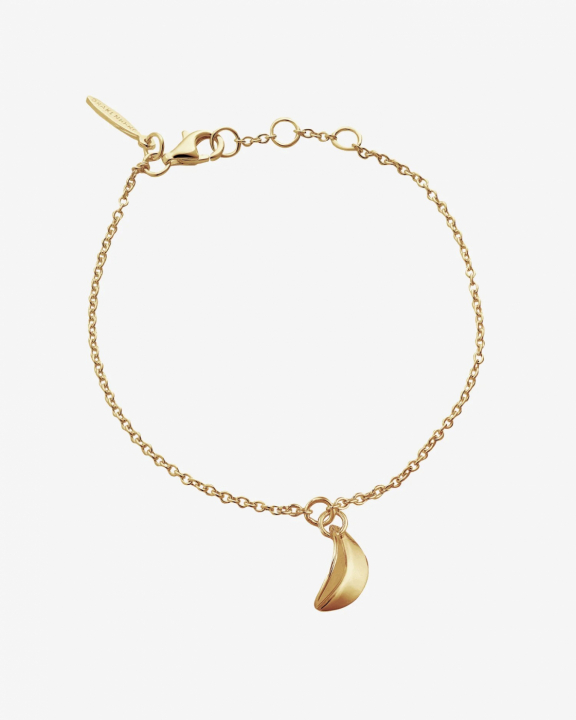 Botanica drop bracelet gold i gruppen Armbånd / Guldarmbånd hos SCANDINAVIAN JEWELRY DESIGN (BTA-B1S181-G)