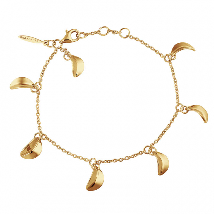 Botanica drop full bracelet gold i gruppen Armbånd / Guldarmbånd hos SCANDINAVIAN JEWELRY DESIGN (BTA-B2S181-G)