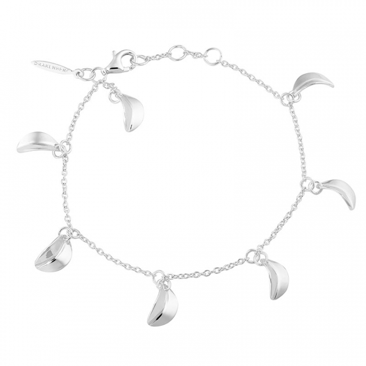 Botanica drop full bracelet i gruppen Armbånd / Sølvarmbånd hos SCANDINAVIAN JEWELRY DESIGN (BTA-B2S181-S)