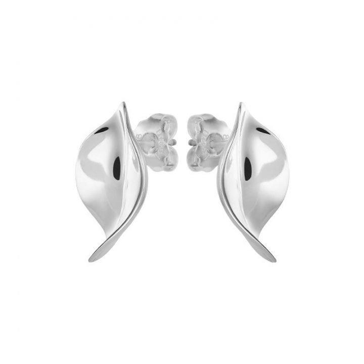 Botanica studs i gruppen Øreringe / Sølvøreringe hos SCANDINAVIAN JEWELRY DESIGN (BTA-E1M000-S)