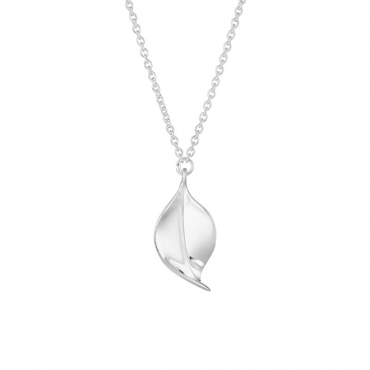 Botanica single necklace i gruppen Halskæde / Sølvhalskæde hos SCANDINAVIAN JEWELRY DESIGN (BTA-N1M2501-S)