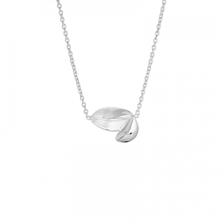Botanica double necklace i gruppen Halskæde / Sølvhalskæde hos SCANDINAVIAN JEWELRY DESIGN (BTA-N1M501-S)