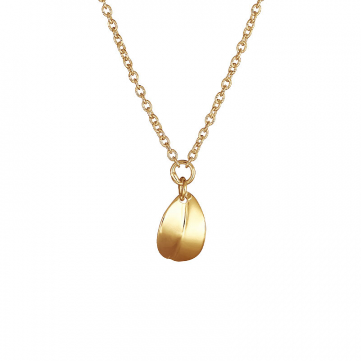 Botanica drop necklace gold i gruppen Halskæde hos SCANDINAVIAN JEWELRY DESIGN (BTA-N1S451-G)