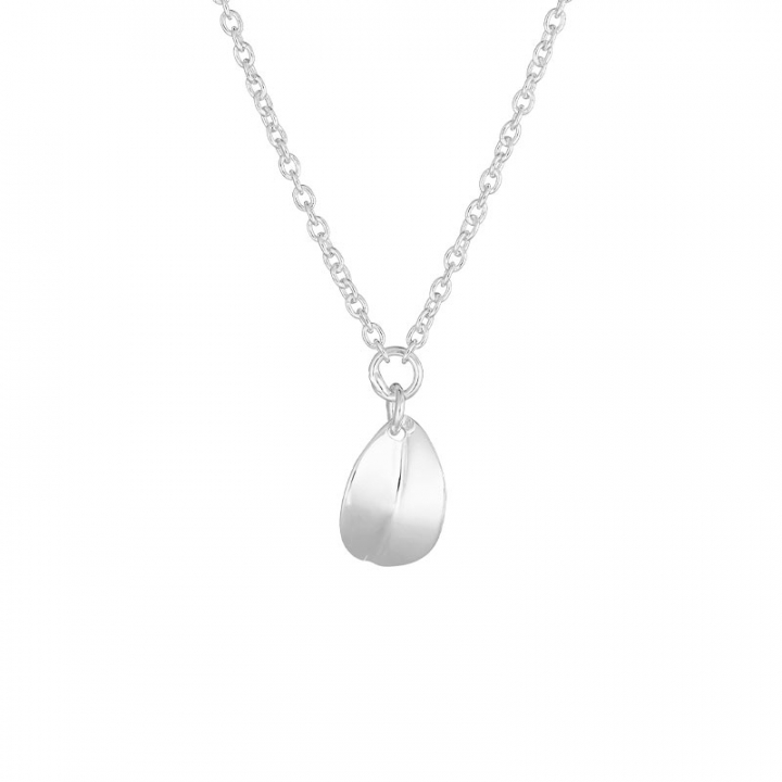 Botanica drop necklace i gruppen Halskæde / Sølvhalskæde hos SCANDINAVIAN JEWELRY DESIGN (BTA-N1S451-S)