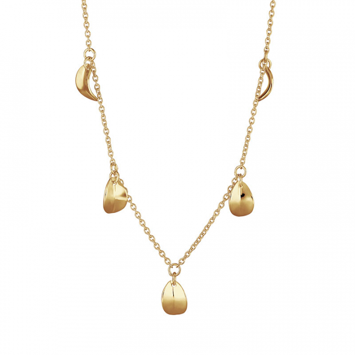 Botanica drop full necklace gold i gruppen Halskæde / Guldhalskæde hos SCANDINAVIAN JEWELRY DESIGN (BTA-N3S501-G)