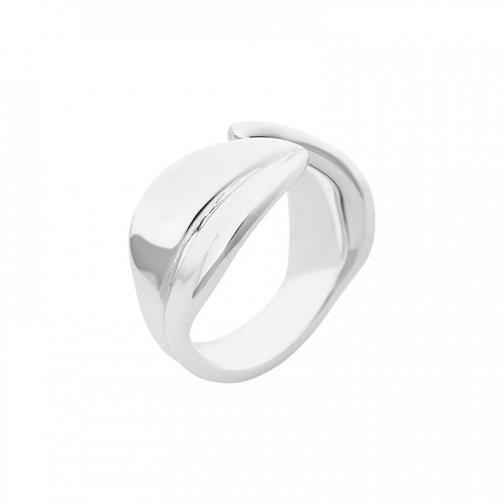 Botanica ring i gruppen Ringe / Sølvringe hos SCANDINAVIAN JEWELRY DESIGN (BTA-R1M150R)