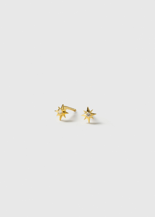 North Star Studs Earrings Gold i gruppen Øreringe / Guldøreringe hos SCANDINAVIAN JEWELRY DESIGN (EG1215)