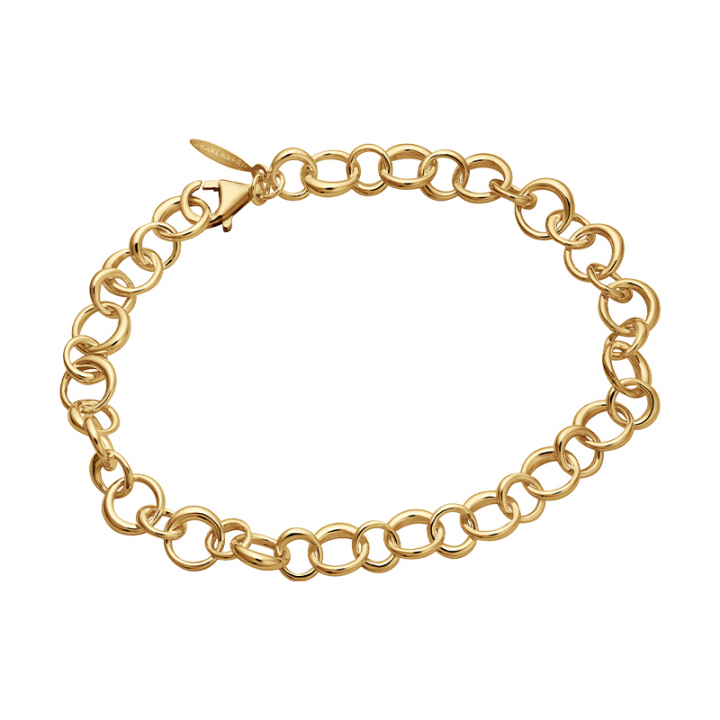Les Amis drop chain Armbånd Guld i gruppen Armbånd / Guldarmbånd hos SCANDINAVIAN JEWELRY DESIGN (LAS-B50210-G)
