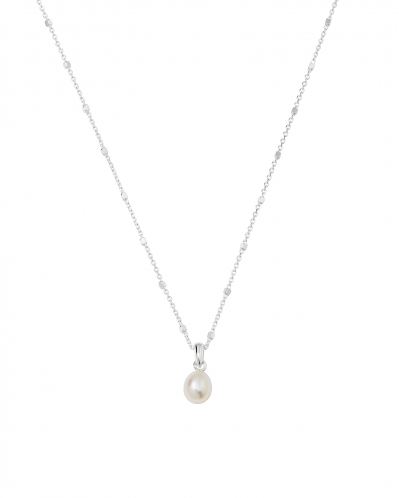  i gruppen Halskæde / Sølvhalskæde hos SCANDINAVIAN JEWELRY DESIGN (NS1353)