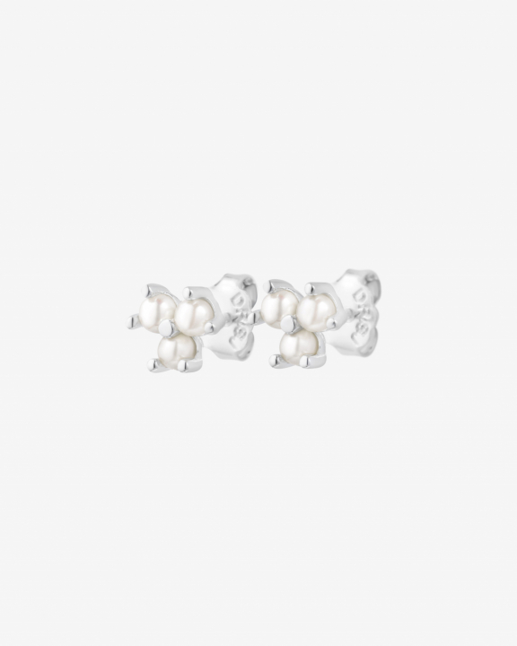 Petite Star pearl studs/Ørering i gruppen Øreringe / Perleøreringe hos SCANDINAVIAN JEWELRY DESIGN (PSR-E1M000-S)