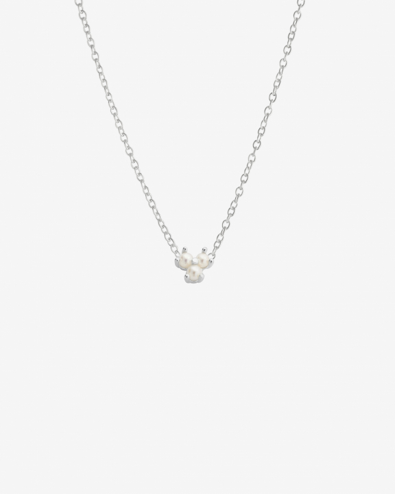 Petite Star pearl Halskæde i gruppen Halskæde / Sølvhalskæde hos SCANDINAVIAN JEWELRY DESIGN (PSR-N1M451-S)