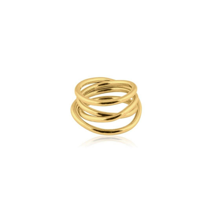 Chaos Ring (guld) i gruppen Ringe hos SCANDINAVIAN JEWELRY DESIGN (R1921GPB0)