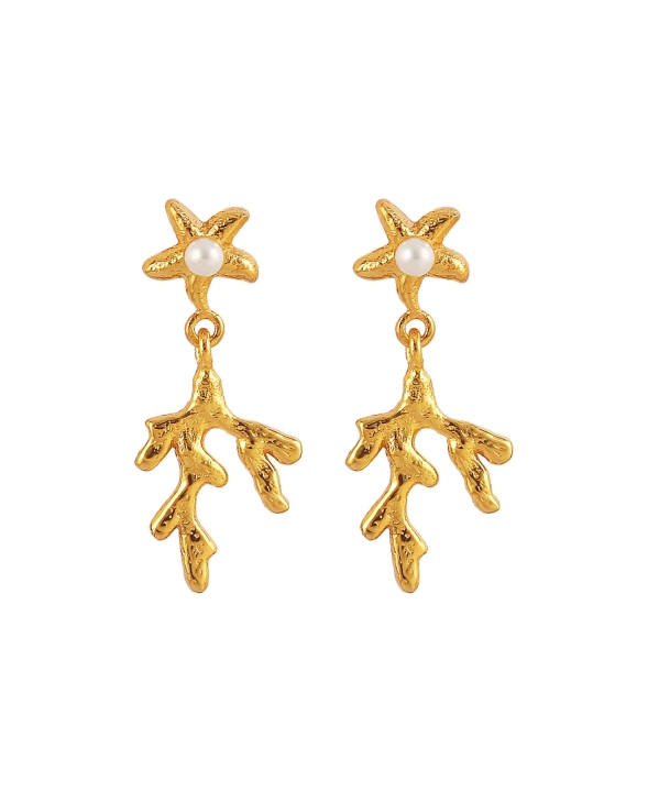 Mini Coral Leaf Earrings Gold i gruppen Øreringe / Guldøreringe hos SCANDINAVIAN JEWELRY DESIGN (S08057-G)