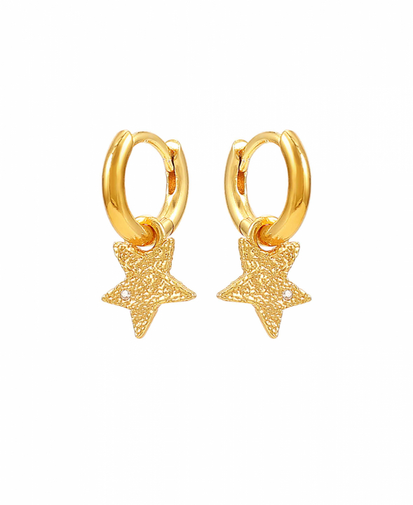 Astra Hoops Earrings Gold i gruppen Øreringe / Guldøreringe hos SCANDINAVIAN JEWELRY DESIGN (S08538G)