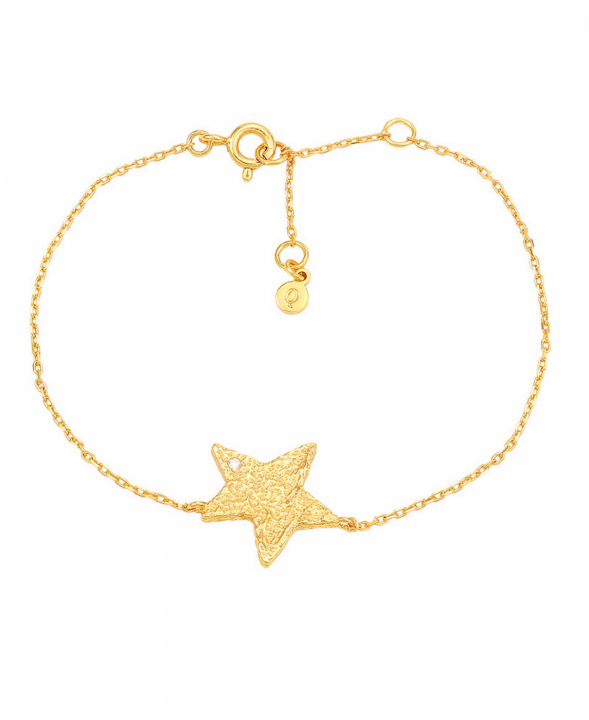 Astra Bracelet Gold i gruppen Armbånd / Guldarmbånd hos SCANDINAVIAN JEWELRY DESIGN (S08540G)