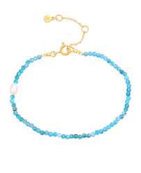 Wren Bracelet Gold i gruppen Armbånd / Guldarmbånd hos SCANDINAVIAN JEWELRY DESIGN (S08580G)
