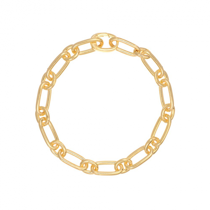Capizzi - 18k guldpläterad Armbånd i gruppen Armbånd / Guldarmbånd hos SCANDINAVIAN JEWELRY DESIGN (SJ-B42235-YG)