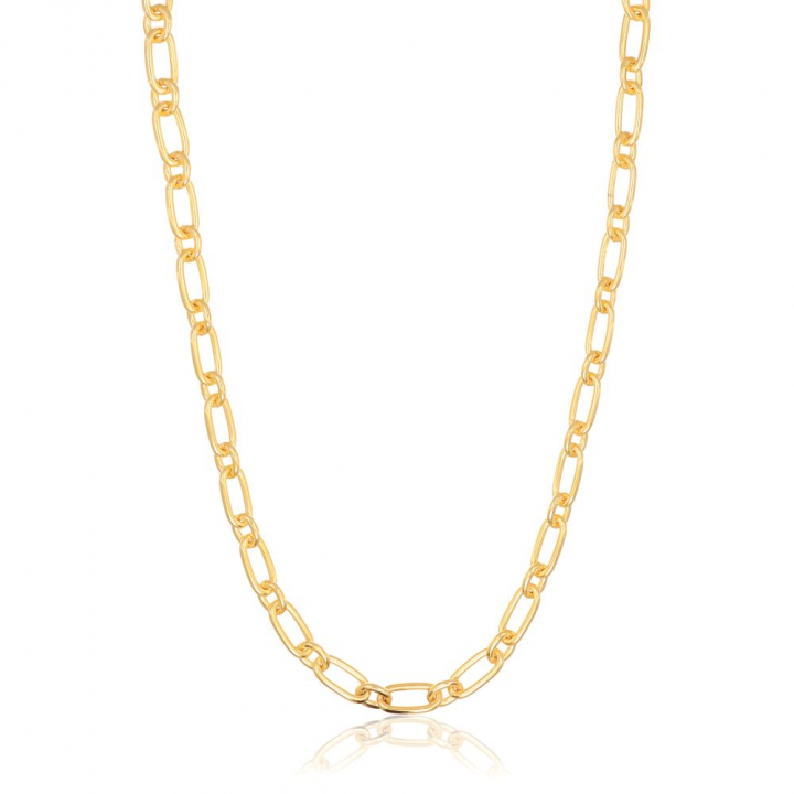 Capizzi - 18k guldpläterad Halskæde i gruppen Halskæde / Guldhalskæde hos SCANDINAVIAN JEWELRY DESIGN (SJ-C42233-YG)