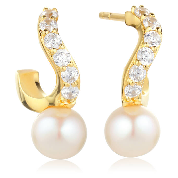 PONZA CREOLO PICCOLO Ørering i gruppen Øreringe hos SCANDINAVIAN JEWELRY DESIGN (SJ-E12350-PCZ-YG)