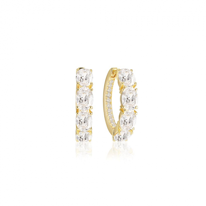 Ellisse Creolo - 18k guldpläterade, med vita zirkoner Ørering i gruppen Øreringe / Guldøreringe hos SCANDINAVIAN JEWELRY DESIGN (SJ-E2315-CZ-YG)