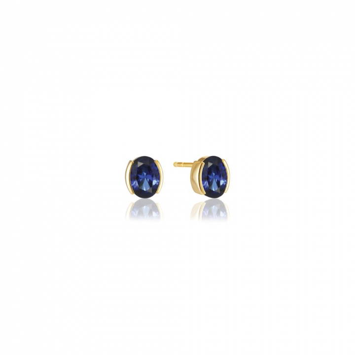Ellisse Carezza - 18k guldpläterade, med blåa zirkoner Ørering i gruppen Øreringe / Guldøreringe hos SCANDINAVIAN JEWELRY DESIGN (SJ-E2350-BLCZ-YG)