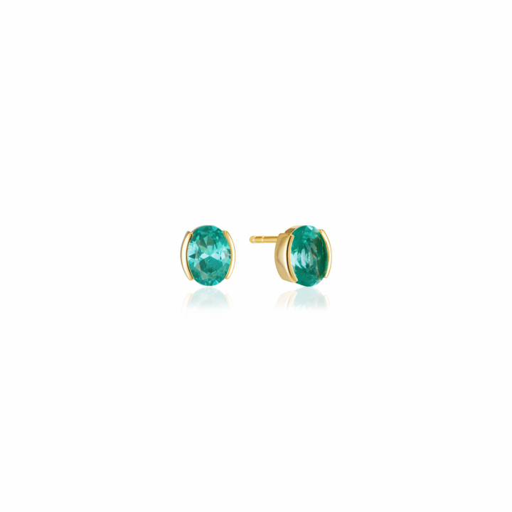 ELLISSE CAREZZA Earrings Gold i gruppen Øreringe / Guldøreringe hos SCANDINAVIAN JEWELRY DESIGN (SJ-E2350-TQCZ-YG)
