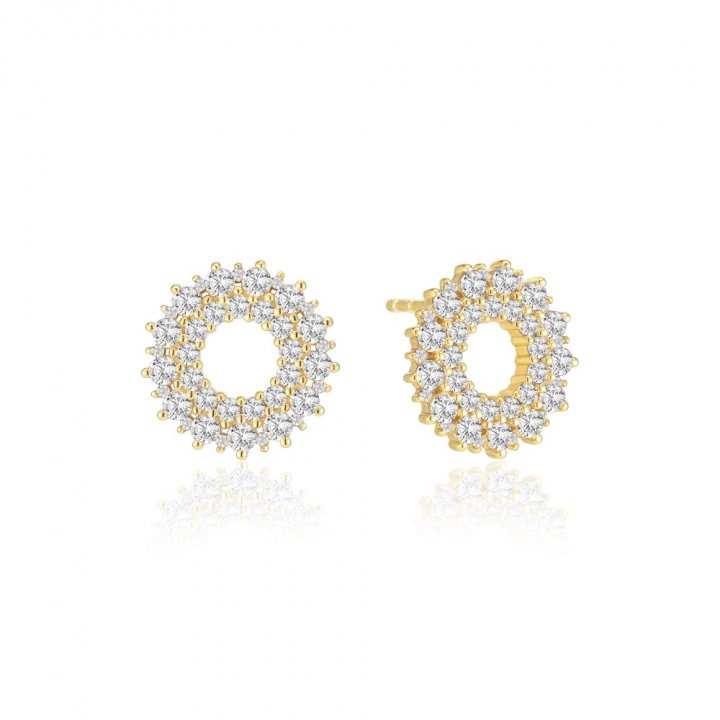 LIVIGNO EARRINGS Guld i gruppen Øreringe / Guldøreringe hos SCANDINAVIAN JEWELRY DESIGN (SJ-E2361-CZ-YG)