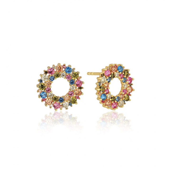 LIVIGNO EARRINGS Guld i gruppen Øreringe / Guldøreringe hos SCANDINAVIAN JEWELRY DESIGN (SJ-E2361-XCZ-YG)