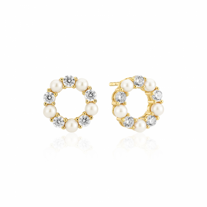 BIELLA PERLA Earrings Gold i gruppen Øreringe / Perleøreringe hos SCANDINAVIAN JEWELRY DESIGN (SJ-E2432-PCZ-YG)