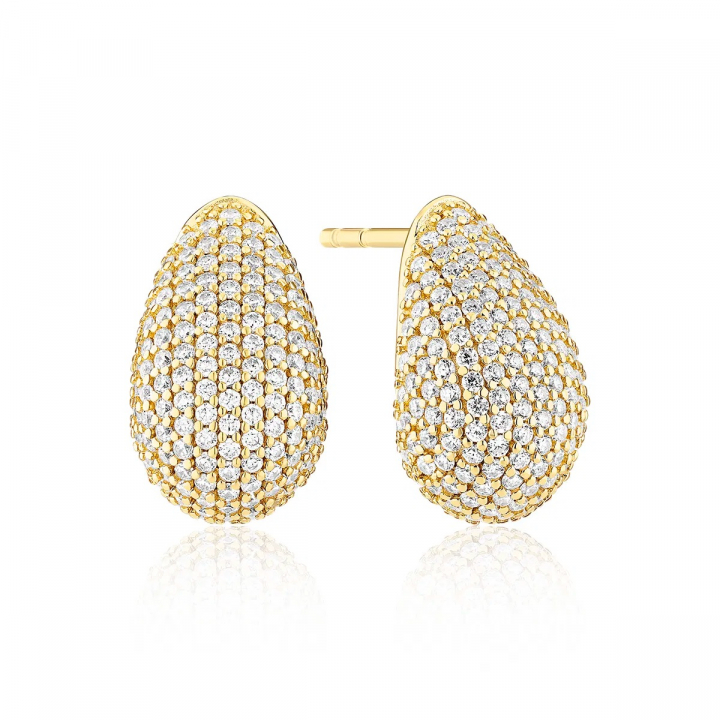 GOCCIA ALTRO Earrings Gold i gruppen Øreringe / Guldøreringe hos SCANDINAVIAN JEWELRY DESIGN (SJ-E2480-CZ-YG)