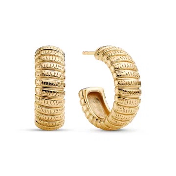  i gruppen Øreringe / Guldøreringe hos SCANDINAVIAN JEWELRY DESIGN (SJ-E2755-YG)