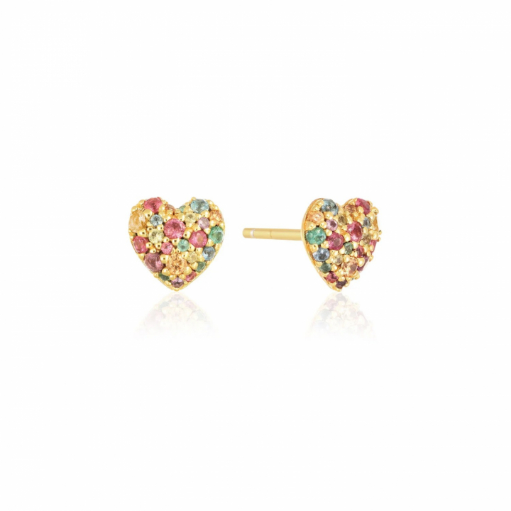 CARO Ørering i gruppen Øreringe hos SCANDINAVIAN JEWELRY DESIGN (SJ-E72350-XCZ-YG)