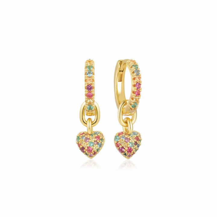 CARO CREOLO Ørering i gruppen Øreringe hos SCANDINAVIAN JEWELRY DESIGN (SJ-E72352-XCZ-YG)