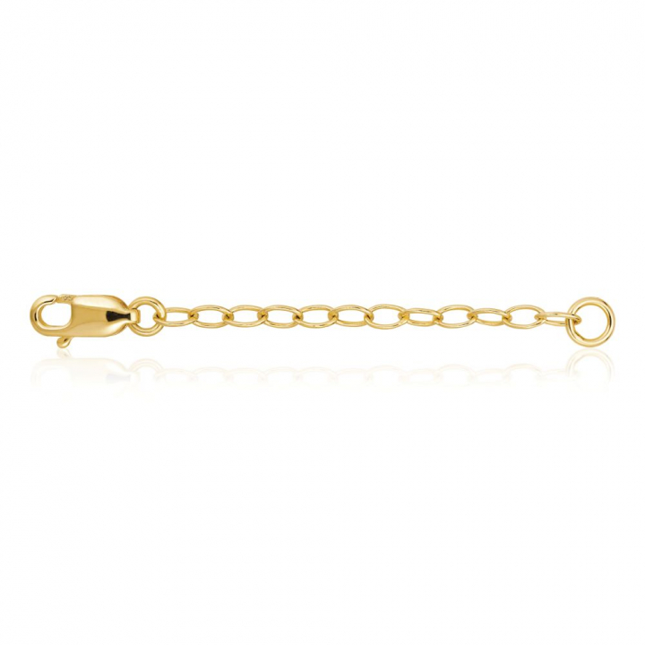 Förlängningskedja (Guld) i gruppen Tilbehør hos SCANDINAVIAN JEWELRY DESIGN (SJ-EXTENS-YG)