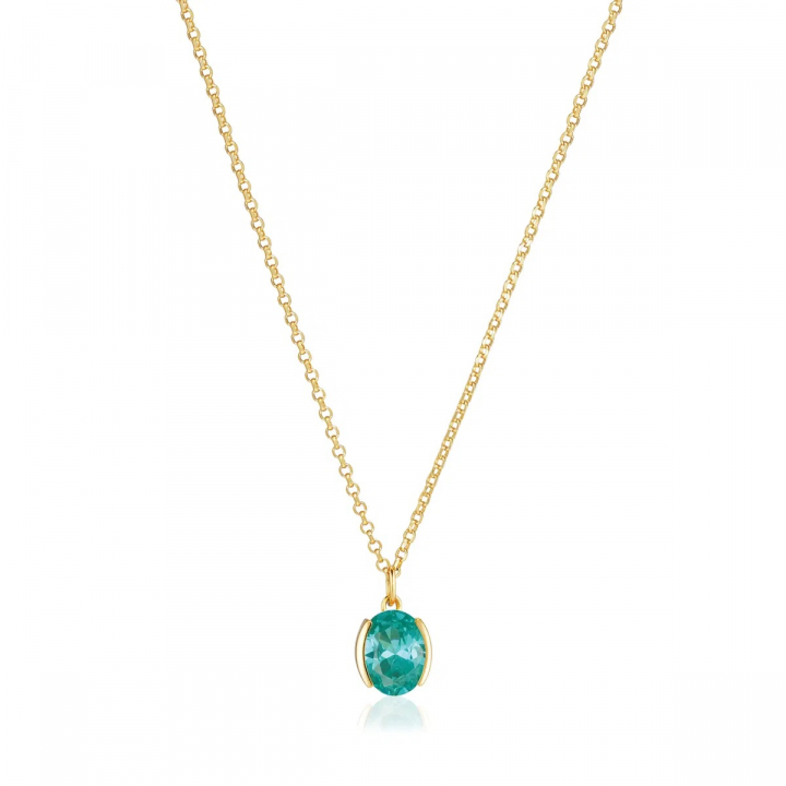 ELLISSE CAREZZA Necklace Gold i gruppen Halskæde / Guldhalskæde hos SCANDINAVIAN JEWELRY DESIGN (SJ-N2353-TQCZ-YG)