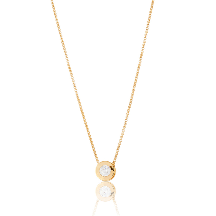 Älskad Necklace Gold i gruppen Halskæde / Guldhalskæde hos SCANDINAVIAN JEWELRY DESIGN (gp25)