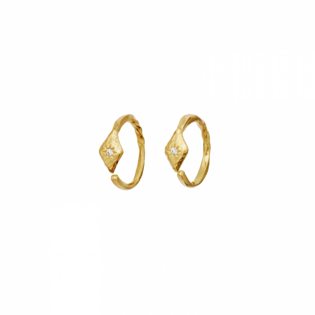 Forte Earrings Gold