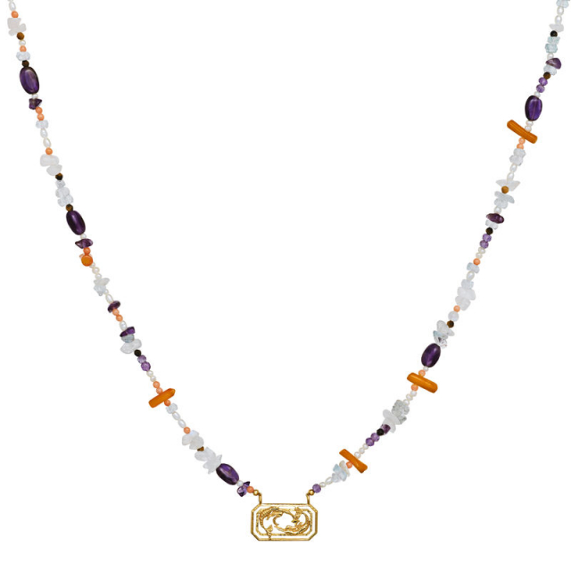 Zodiac Water Pisces Halskæde (Guld)