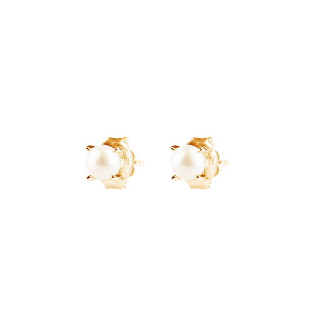 Petite Pearl Ørering guld