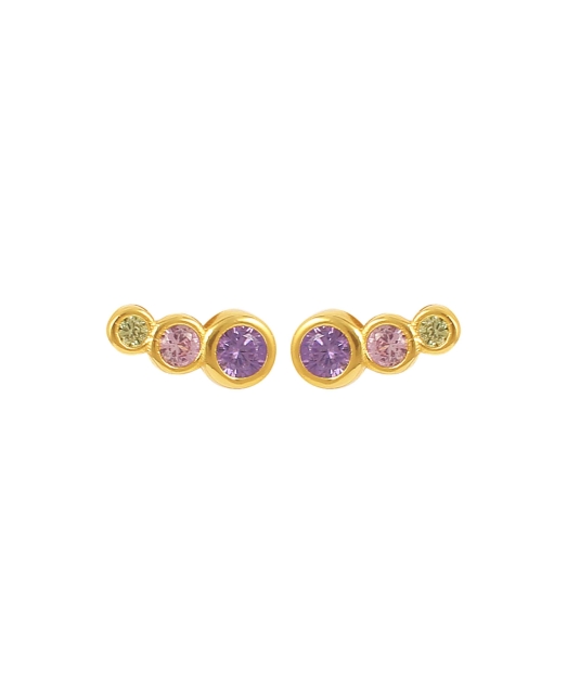 Lucian Pink Multi Earrings Gold